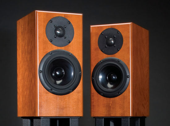 Buy Totem Acoustic Rainmaker Bookshelf Speaker Pair At Best