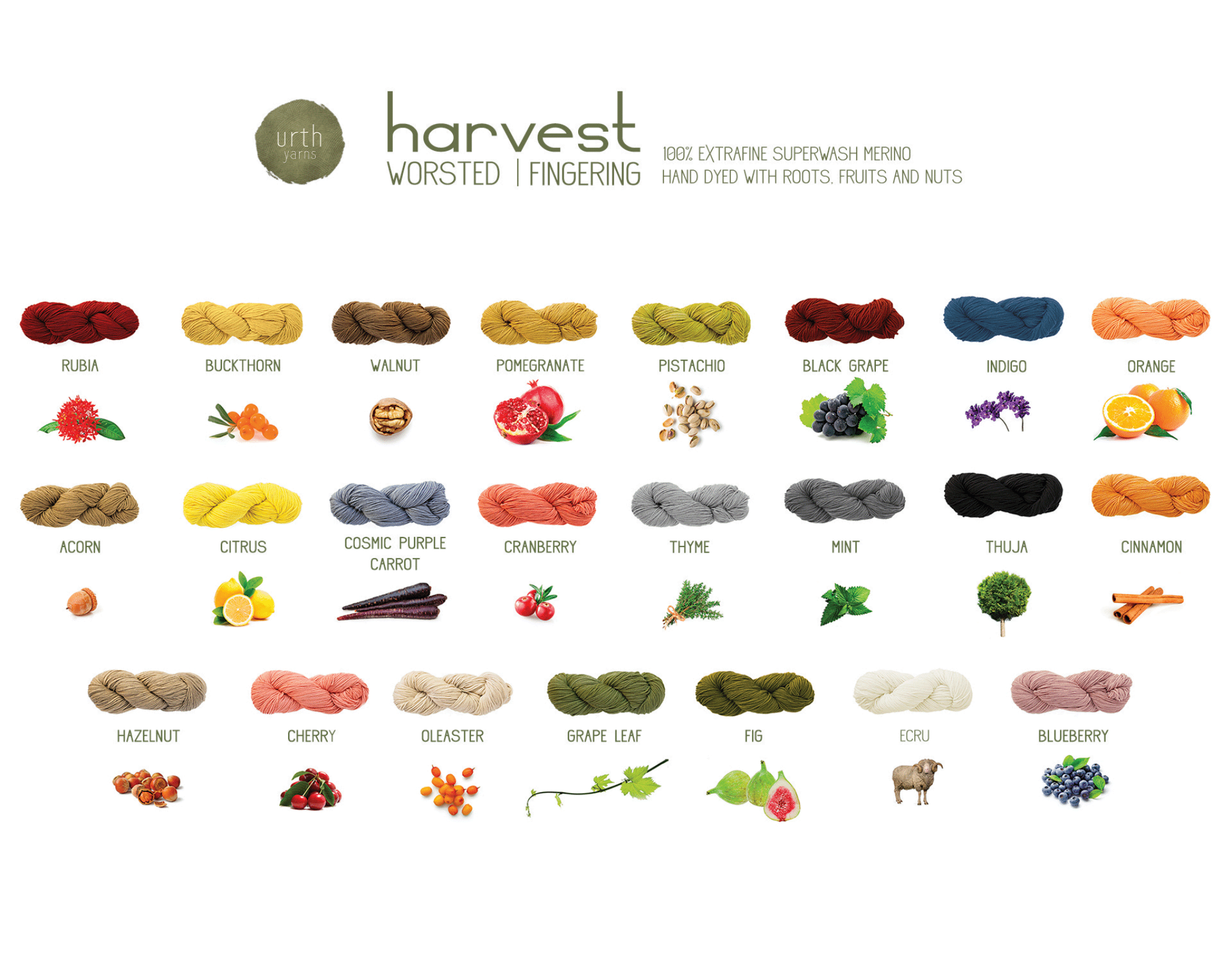 A color chart for Urth Yarn's Harvest yarns, showing the color of yarn next to the plant that produced the color.