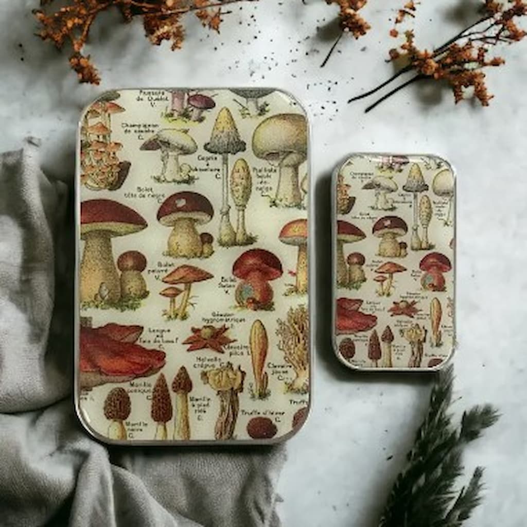 Firefly Notes | Mushroom Notions Tins