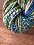 Spin Along Post #4- Spinning 3-Ply Color BFL as-it-comes