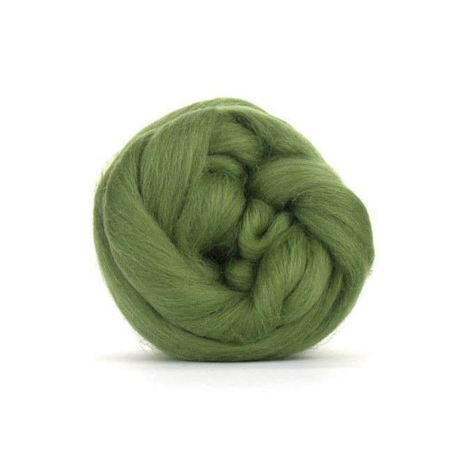 Green Wool Roving, Green Roving, Shep's Wool - Merino Top Fiber,Spinning  Wool, Felting Wool, Craft Wool, Green Spin Fiber, Green Felting Wool, (1lb)