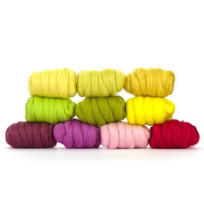 Paradise Fibers Multi Color Merino Wool Top - Unicorn