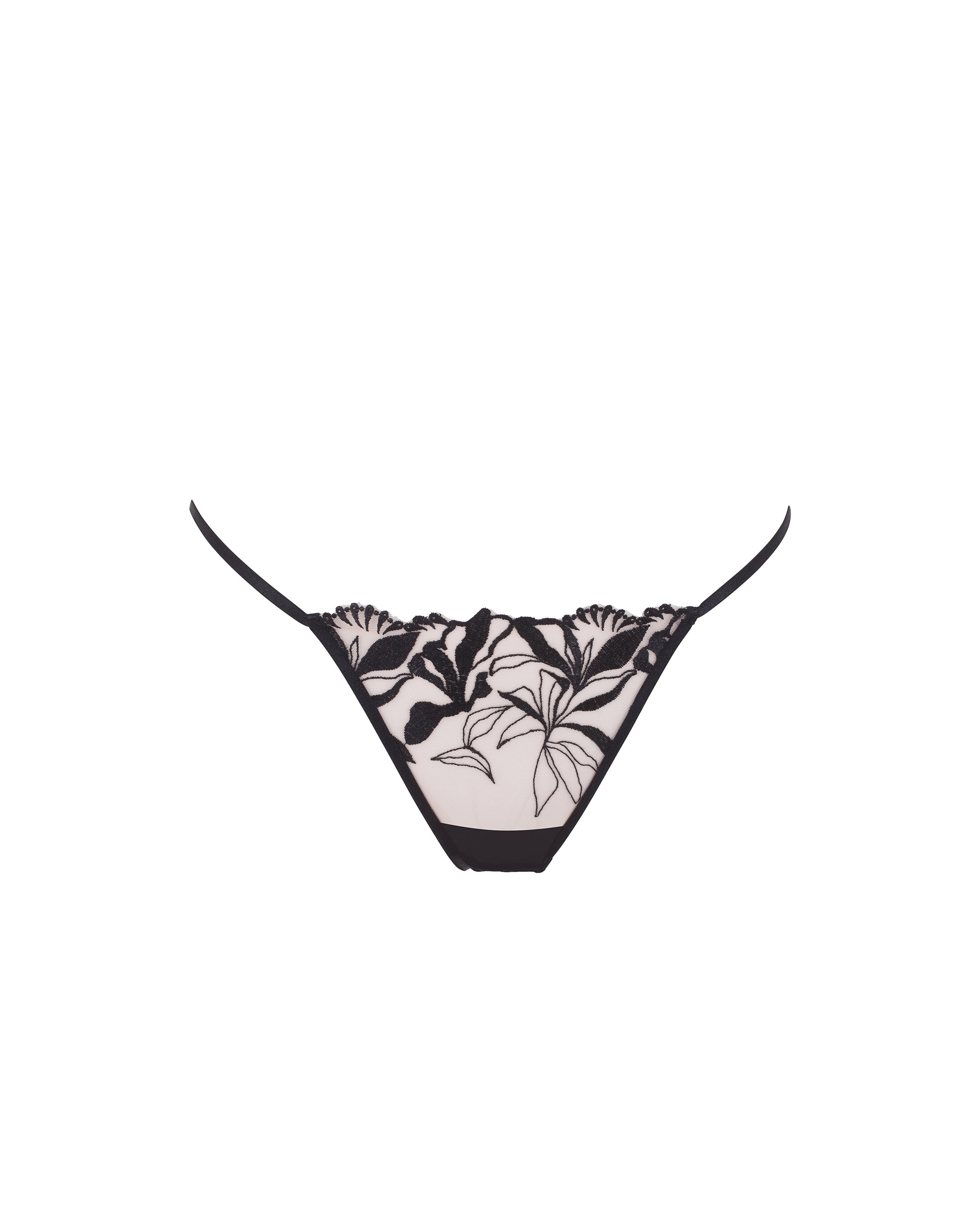 Persephone Brief Sheer/Black