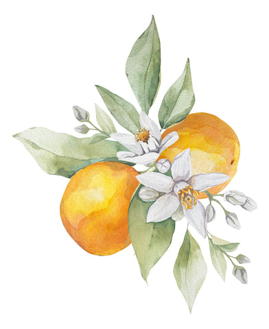 Neroli Oil