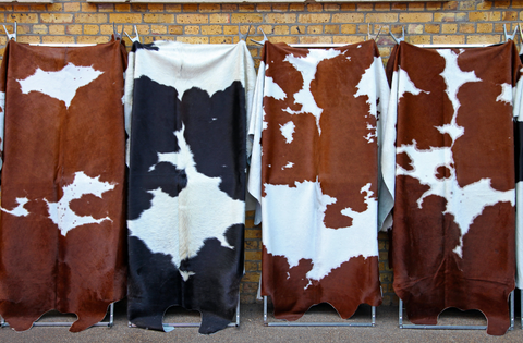 cowhide rug