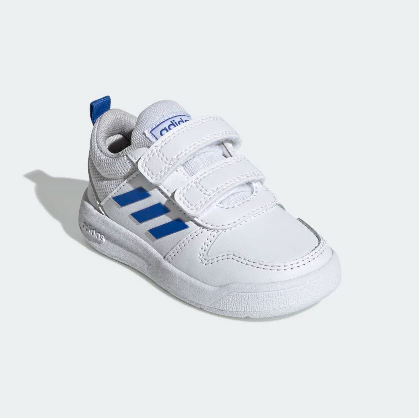 adidas shoes white blue