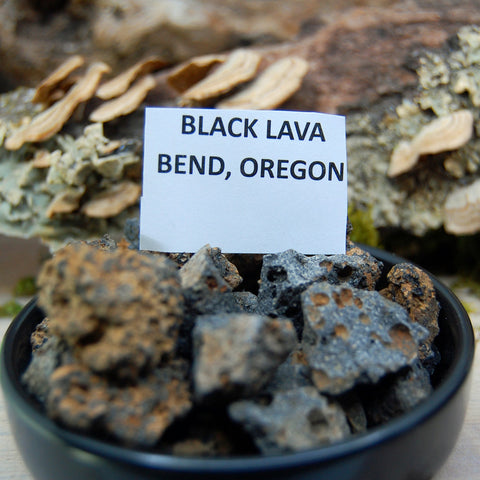 Black lava from Bend Oregon