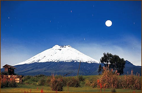 Ecuadorian Volcano - Neck of the Moon Ring by minter and richter designs