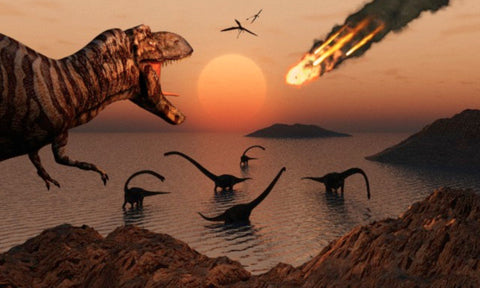 Dinosaur and Meteorite
