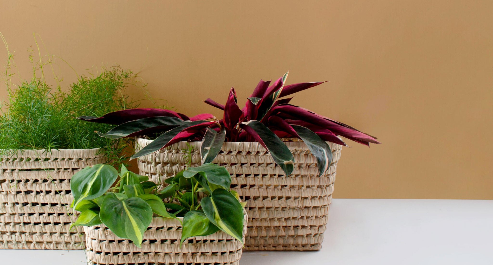 Moroccan Storage Baskets