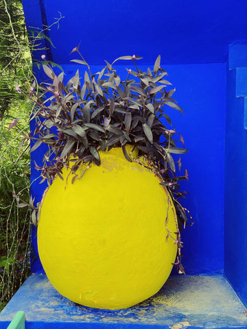 Bohemia Design Marrakech Travel Guide Yellow Plant Pot Against Blue Wall