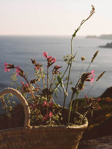 Bohemia Design Cornish Photoshoot Evening Light on the Coast, by Katy Lawrence