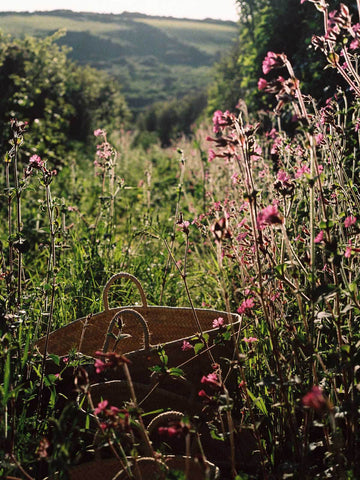 Bohemia Design Cornwall Shoot Evening Light with Market basket in Flowers