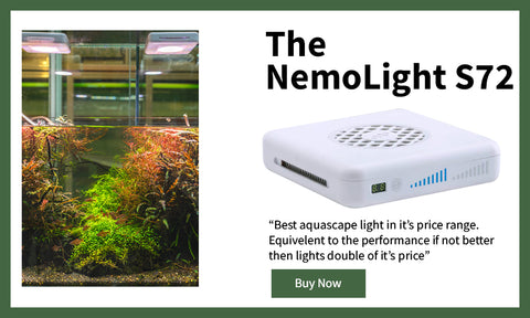 NemoLight S72 for Aquascape