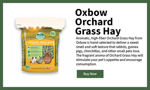 Oxbow Orchard Hay