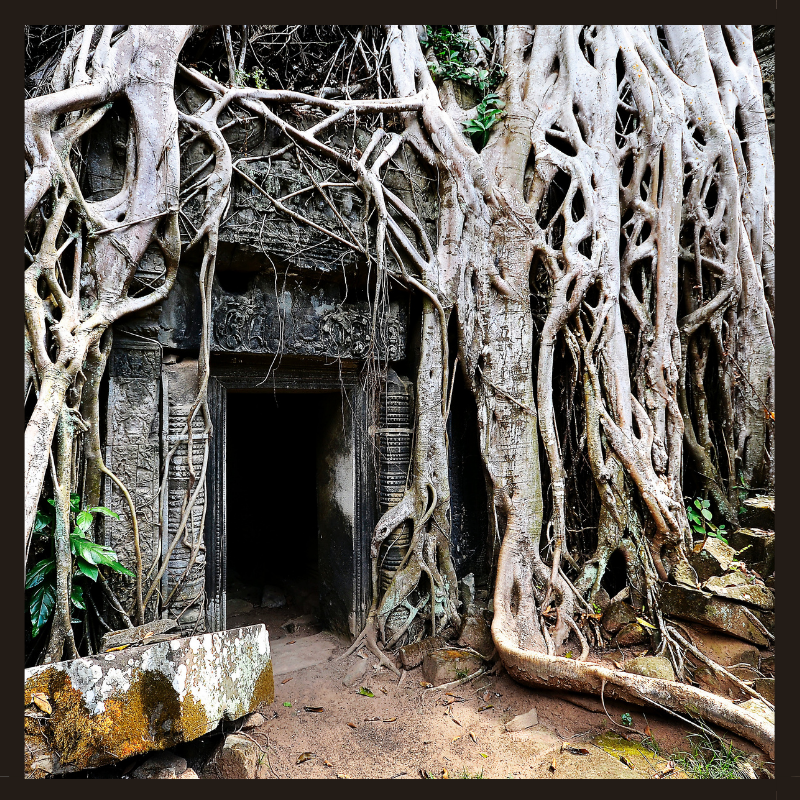 Ancient Cambodia site door opening