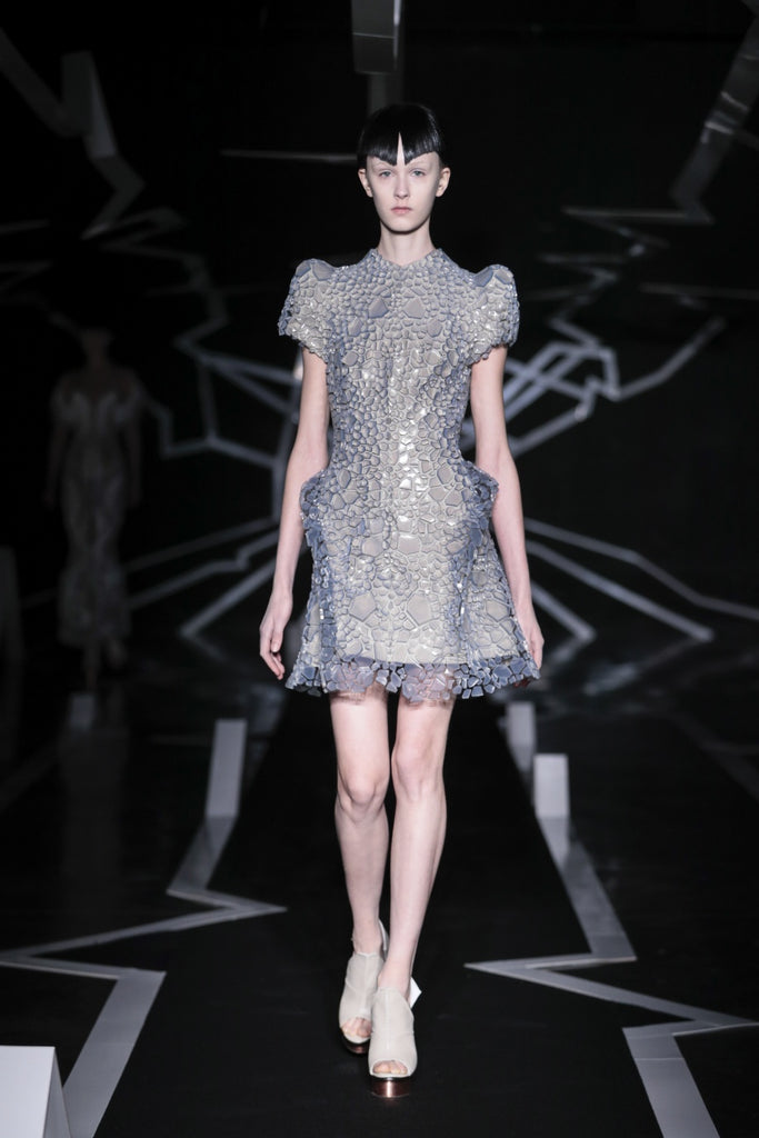 Between The Lines: Iris Van Herpen X Carolin Holzhuber - Erebus