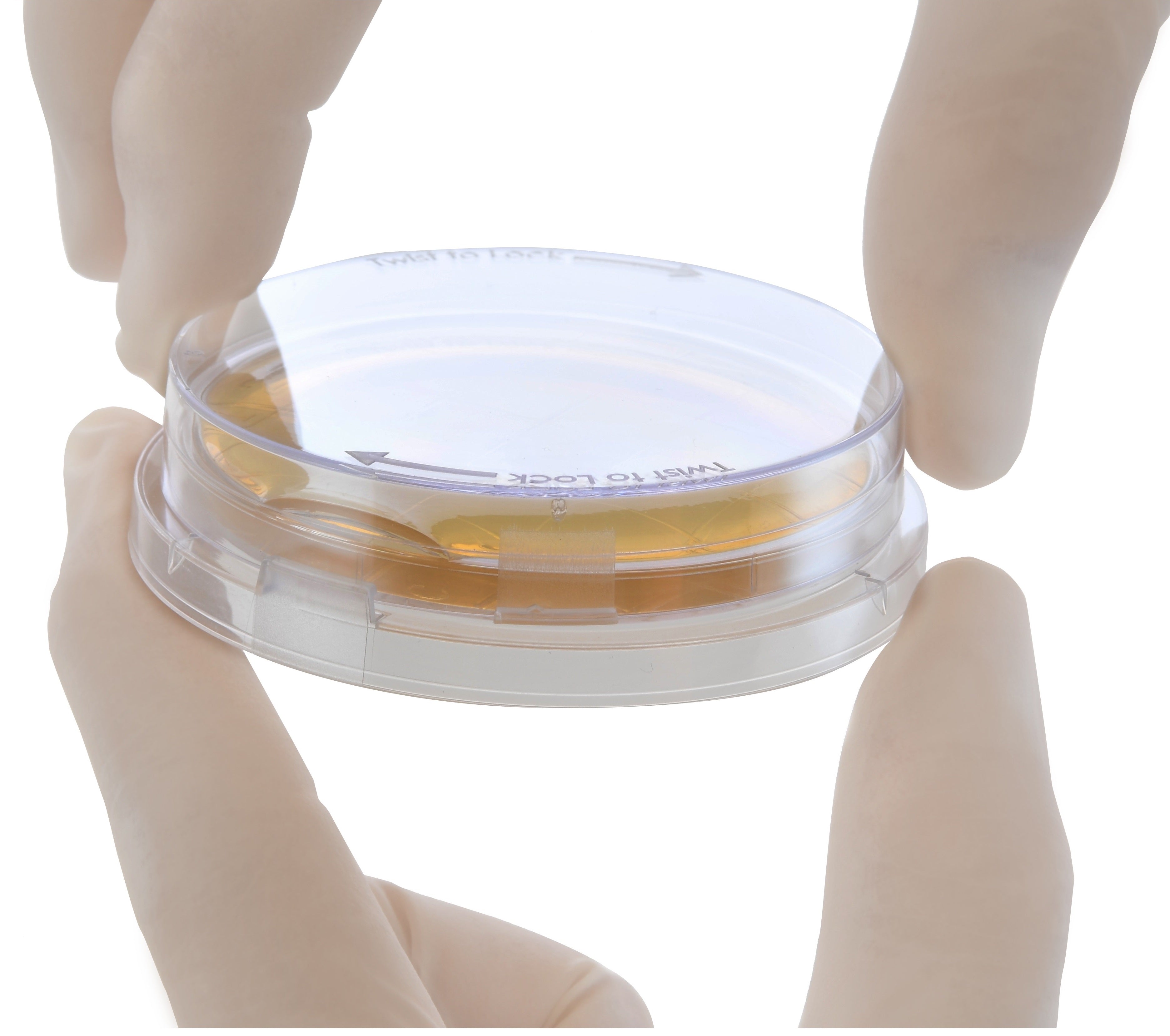 P520: Tryptic Soy Agar (TSA) with Lecithin and Tween® 80, USP 