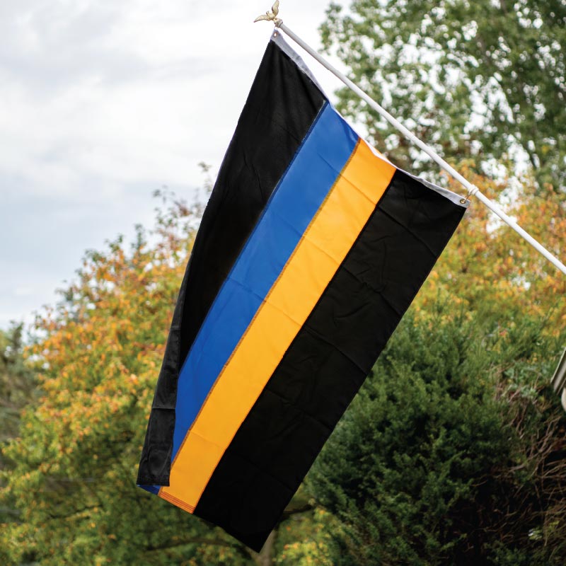 the thin blue line sweden