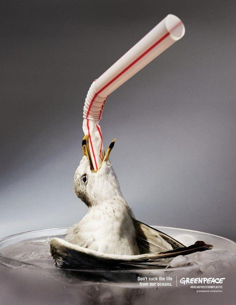plastic straws suck the life out of marine life