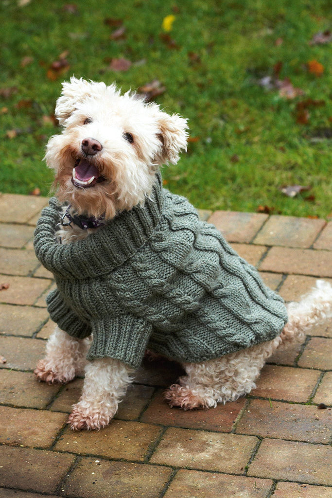 dog-jumper-with-cables-knitting-pattern-the-knitting-network