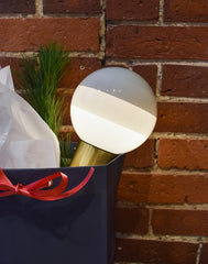 Portable dipping lamp in Christmas gift bag