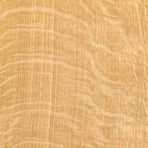 Natural quarter-sawn white oak wood sample