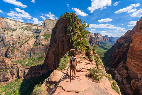 Angel's Landing Trail