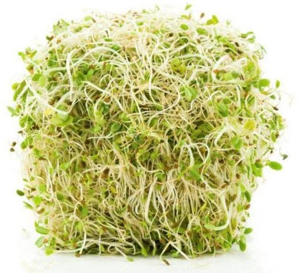 raw sprouts 