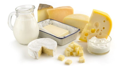 dairy foods halomama