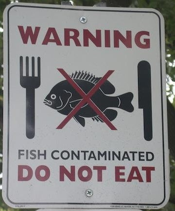 Do not eat contaminated fish !