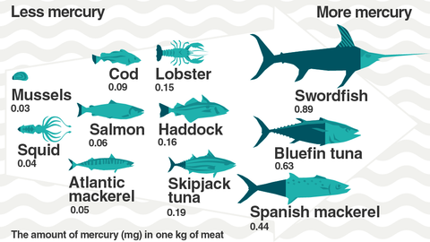 Fishes that contain mercury and mercury levels