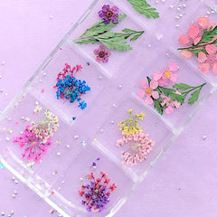 Small Dried Flower And Leaf Floral Resin Inclusions Wild Carrot Fl Miniaturesweet Kawaii Resin Crafts Decoden Cabochons Supplies Jewelry Making