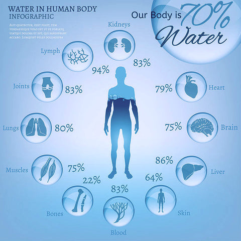 does your body absorb water when you shower