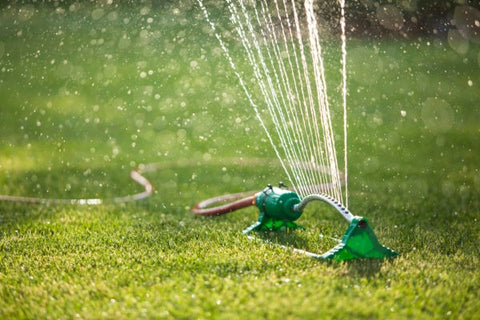 A Guide to Water Conservation - Saving Water and the Earth