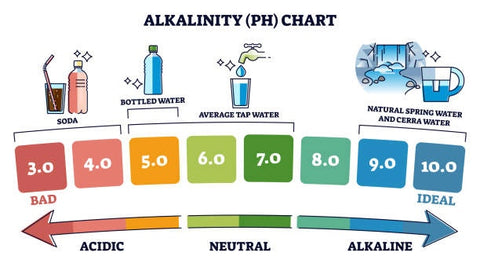 Alkalinity Of Water Definition: What Is The Alkalinity In Drinking Water?