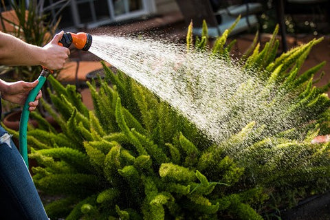 Is Your Garden Hose Safe For Drinking