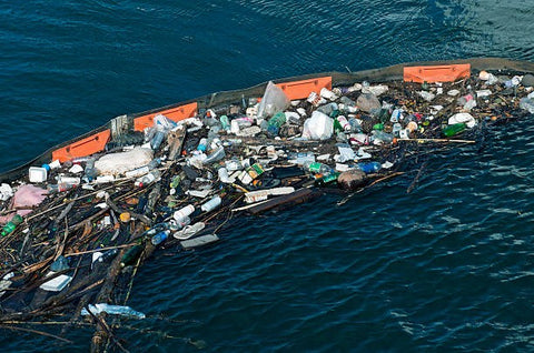 Marine Debris and Ocean Pollution in Hawaii