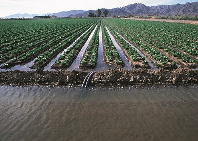 Water Resources Of The United States: Agricultural And Environmental Issues
