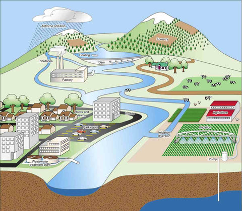 Nutrient Pollution-One of America’s Most Challenging Environmental Problems