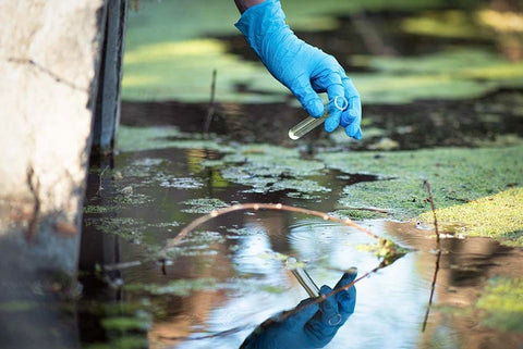 Sediments Water Pollution: How Sediments are Formed