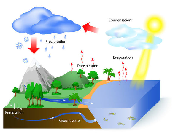 [Image: The-Water-Cycle_grande.jpg?v=1486974666]