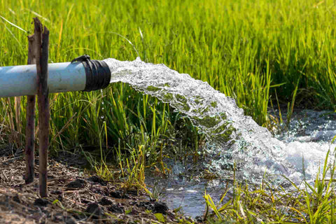 The Effects of Atrazine in Drinking Water to Human Health