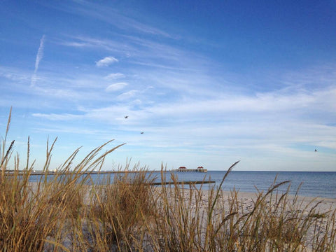 Water Quality at America's Beaches