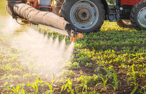 What is a Pesticide and What are Its Uses?