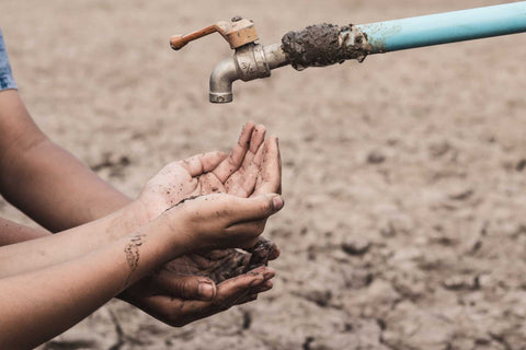 Water Resources, Soil Moisture, Precipitation Patterns