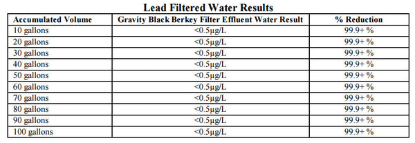 Does Berkey Water Filter Remove Lead From Drinking Water?