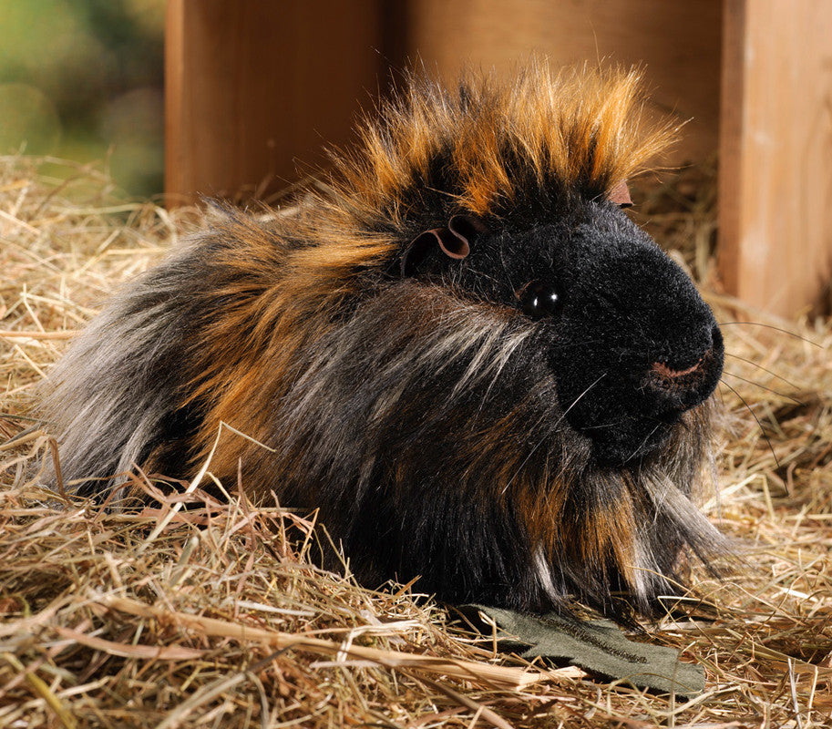 guinea pig cuddly toy