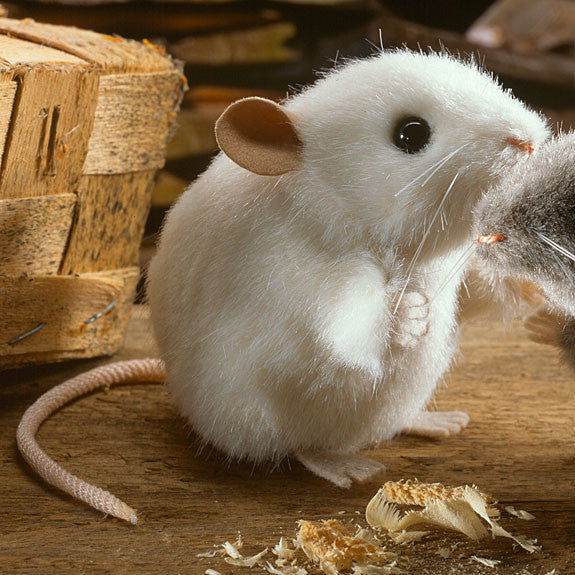 white mice as pets