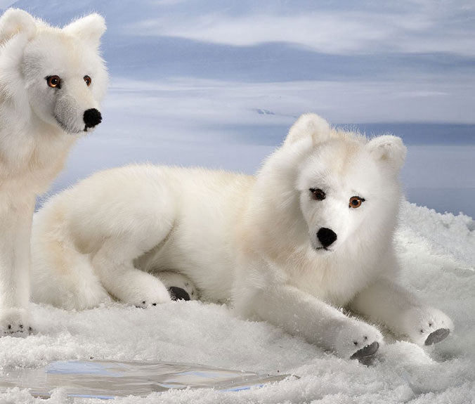 arctic wolf plush